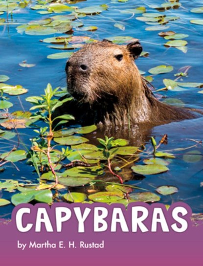 Capybaras, Martha E. H. Rustad - Paperback - 9781977126474