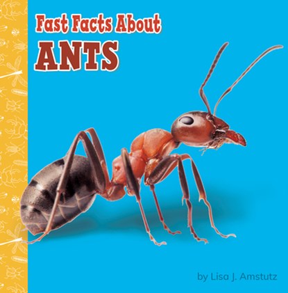 Fast Facts about Ants, Lisa J. Amstutz - Paperback - 9781977132635