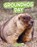 Groundhog Day, KATZ COOPER,  Sharon - Paperback - 9781977132895