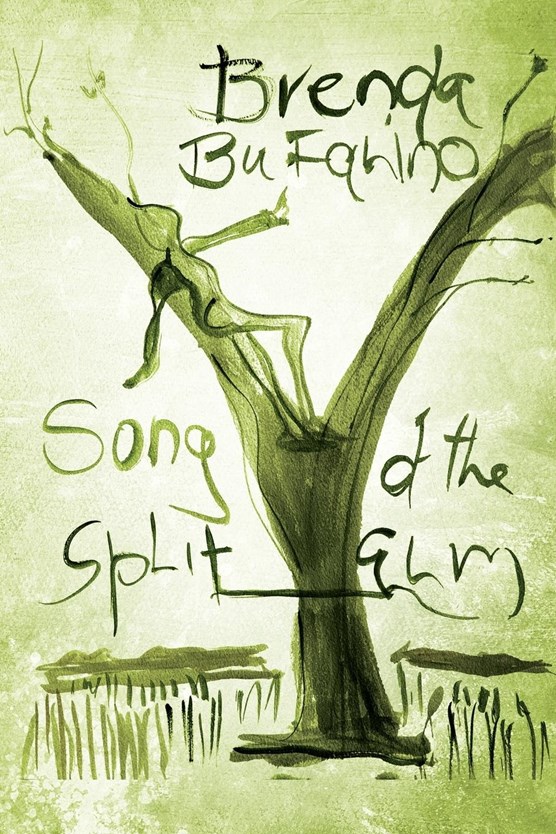 Song of the Split Elm
