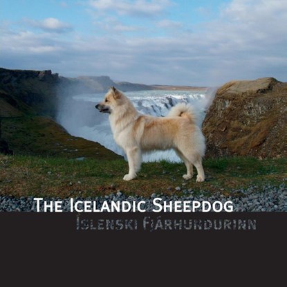 The Icelandic Sheepdog, James L. Hansen - Paperback - 9781977281906