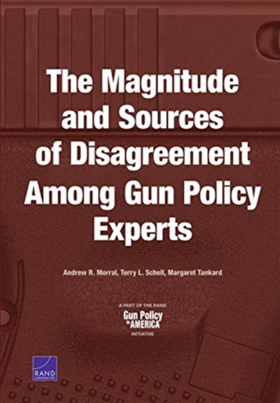 The Magnitude and Sources of Disagreement Among Gun Policy Experts