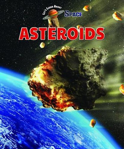 Asteroids, Rebecca Kraft Rector - Paperback - 9781978509191