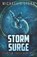 Storm Surge, Michael R Stern - Paperback - 9781980885955