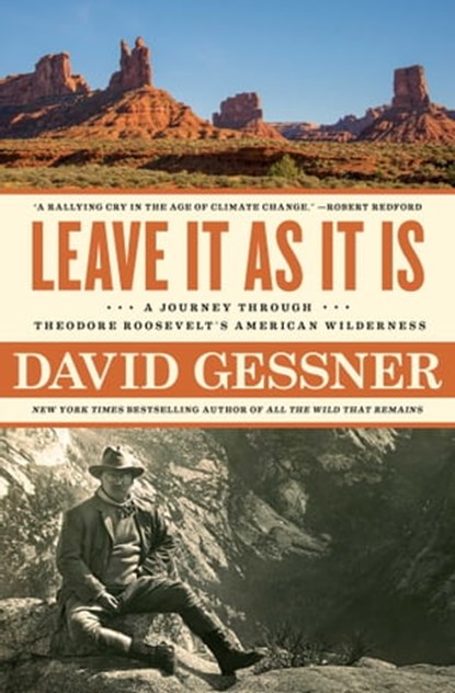 Leave It As It Is, David Gessner - Ebook - 9781982105068