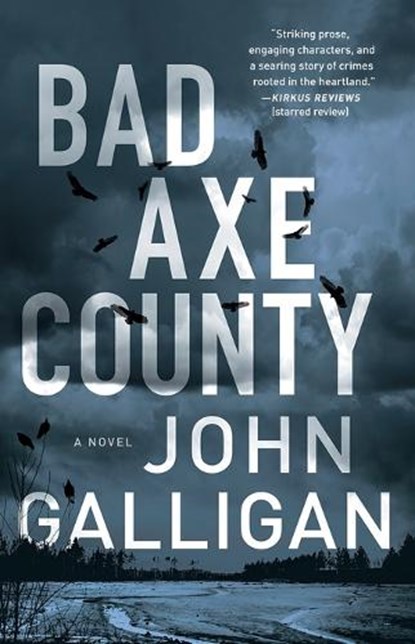 BAD AXE COUNTY, John Galligan - Paperback - 9781982110710