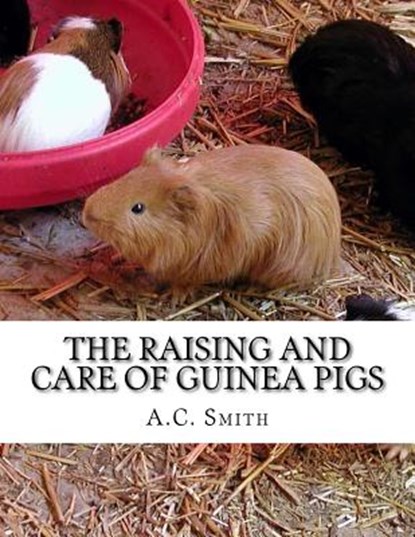 The Raising and Care of Guinea Pigs: A Complete Guide to the Breeding and Exhibiting of Domestic Cavies, Jackson Chambers - Paperback - 9781984244888