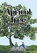 The Apricot Tree, TAYLOR,  David - Gebonden - 9781984523761