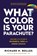 What Color Is Your Parachute? 2023, Richard N. Bolles - Paperback - 9781984861207