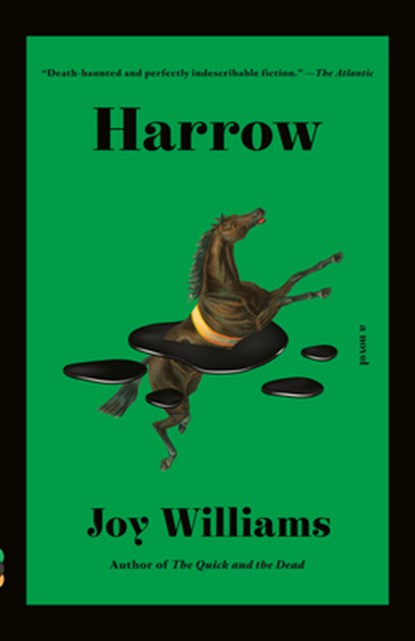 Harrow: A Novel (Kirkus Prize), Joy Williams - Paperback - 9781984898807