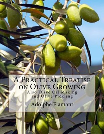 A Practical Treatise on Olive Growing: Also Olive Oil Making and Olive Pickling, CHAMBERS,  Roger - Paperback - 9781985078963