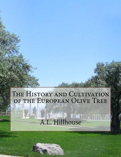 The History and Cultivation of the European Olive Tree, Roger Chambers - Paperback - 9781985079090