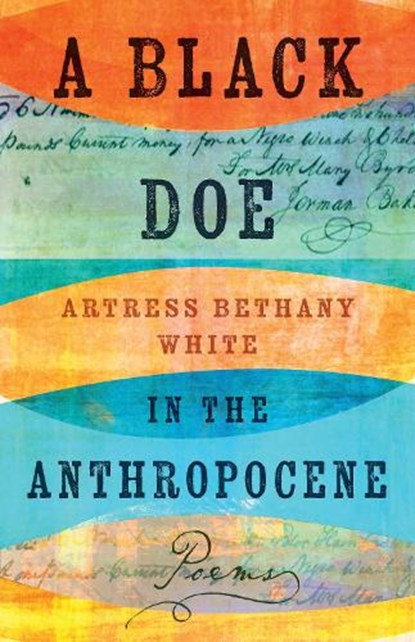 A Black Doe in the Anthropocene, Artress Bethany White - Gebonden - 9781985902619