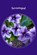 Sevastopol, Leo Tolstoy - Paperback - 9781986729727