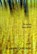 Paradise, Later Years, Marion Quednau - Paperback - 9781987915839