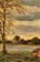 Meadowlands, Virginia Bliss Bjerkelund - Paperback - 9781988299327