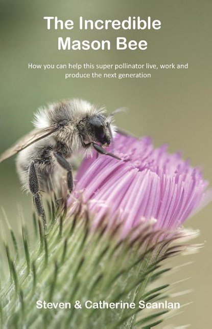 The Incredible Mason Bee, Steven Scanlan - Paperback - 9781989681107
