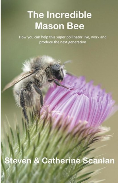 Incredible Mason Bee, Steven Scanlan ; Catherine Scanlan - Paperback - 9781989681145