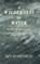 A Wilderness of Water, Ben Robicheau - Paperback - 9781990187902