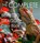 The Complete Bearded Dragon Care Book, Jacquelyn Elnor Johnson - Gebonden - 9781990291470