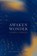 Awaken Wonder, Darrell W. Johnson - Paperback - 9781990331077