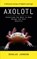 Axolotl, Douglas Johnson - Paperback - 9781990373794
