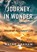 Journey in Wonder, Wayne Graham - Paperback - 9781991153913