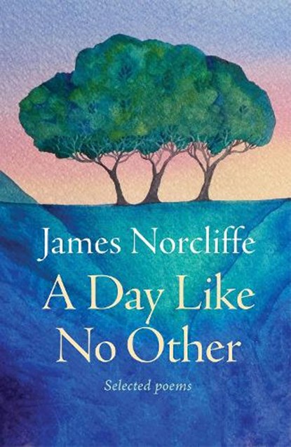 A Day Like No Other, James Norcliffe - Gebonden - 9781991348166