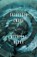 Satellite Image, Michelle Berry - Paperback - 9781998408047