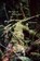 The Time of Falling Apart, Wendy Donawa - Paperback - 9781998526307