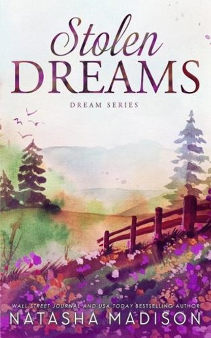 Stolen Dreams: A single dad, workplace, enemies to lovers, age gap romance (Dream Series Book 4), Natasha Madison - Paperback - 9781998620036