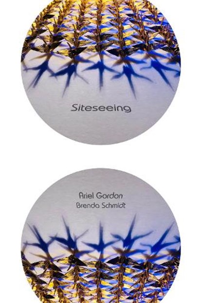 Siteseeing, Ariel Gordon ; Brenda Schmidt - Paperback - 9781998779048