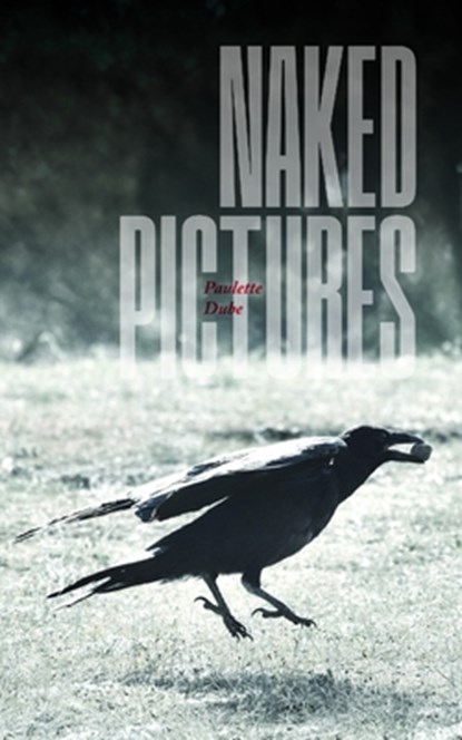 Naked Pictures, Paulette Dube - Paperback - 9781998779383