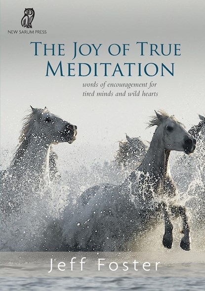 The joy of True Meditation, Jeff Foster - Paperback - 9781999353537