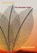 The Speaking Trees, Ciaran O'Driscoll - Paperback - 9781999590314