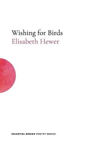 Wishing for Birds, HEWER,  Elisabeth - Paperback - 9781999773632