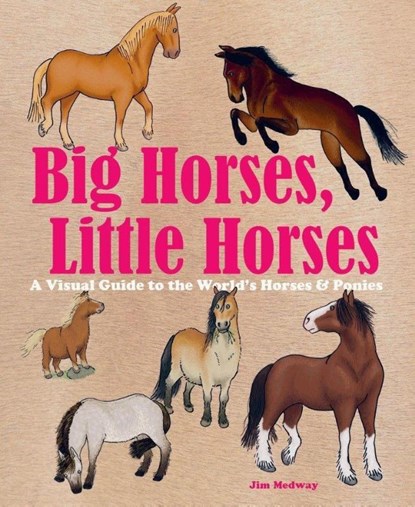 Big Horses, Little Horses, niet bekend - Gebonden Gebonden - 9781999858315
