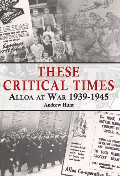 These Critical Times, Andrew Hunt - Paperback - 9781999890025
