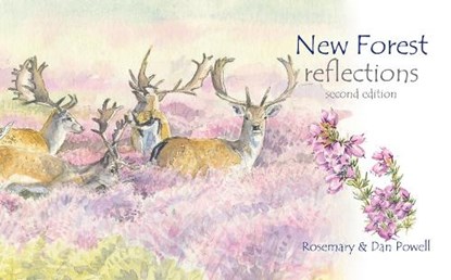 New Forest reflections, Dan Powell - Paperback - 9781999899837