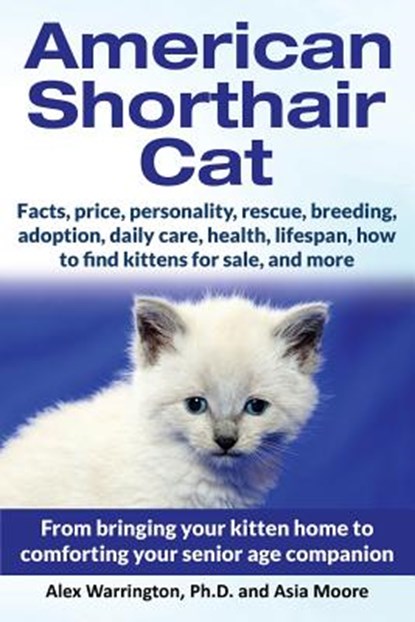 American Shorthair Cat, Alex Warrington ; Asia Moore - Paperback - 9781999913588