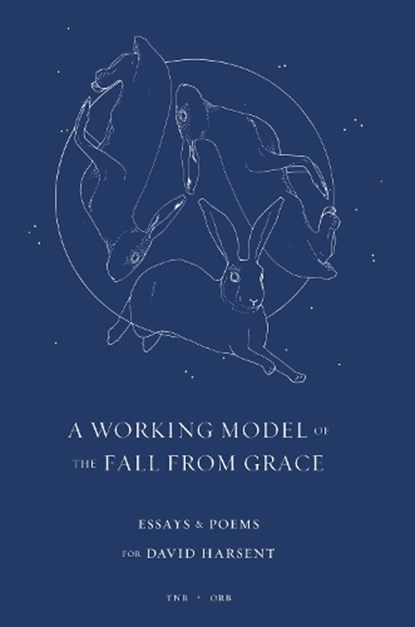 A Working Model of the Fall from Grace, Various Authors - Paperback - 9781999930424