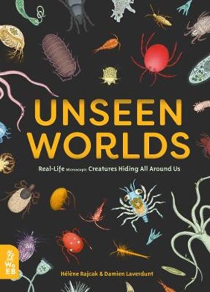 Unseen Worlds, RAJCAK,  Helene ; Laverdunt, Damien - Gebonden Gebonden - 9781999967963