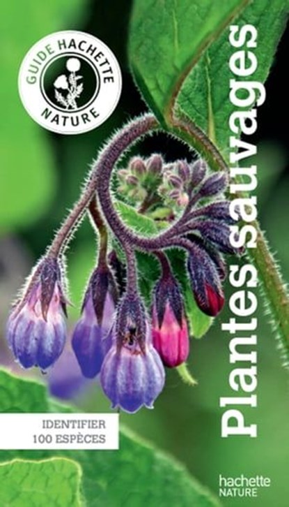 Le guide Hachette Nature des Plantes Sauvages, Helga Hofmann - Ebook - 9782012317451