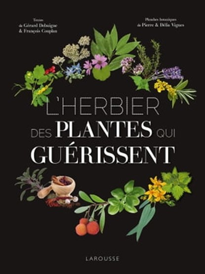 L'Herbier des plantes qui guérissent, Pierre VIGNES ; Délia VIGNES ; Gérard Debuigne ; François Couplan - Ebook - 9782036017146