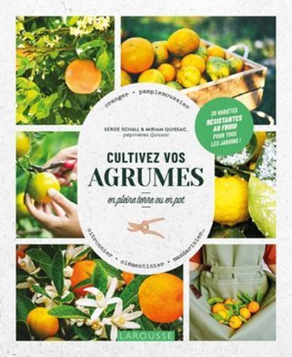 Cultivez vos agrumes, Serge Schall ; Miriam Quissac - Ebook - 9782036029828