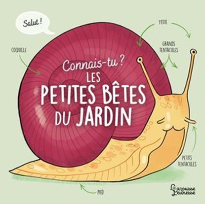Connais-tu les petites bêtes du jardin ?, Agnès Besson - Ebook - 9782036059030
