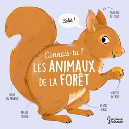 Connais-tu les animaux de la forêt ?, Agnès Besson - Ebook - 9782036059108
