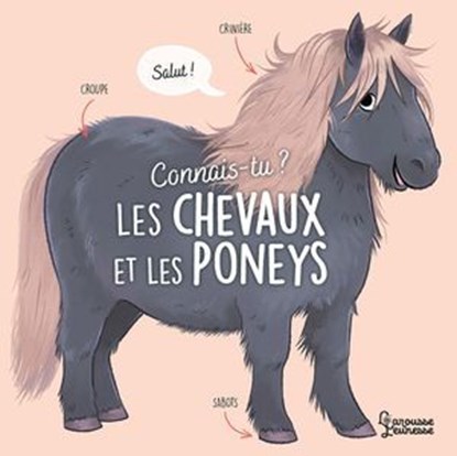 Connais-tu ? Les chevaux et les poneys, Agnès Besson - Ebook - 9782036059184