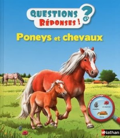 Poneys et chevaux - Questions/Réponses - doc dès 5 ans, Anne-Sophie Baumann - Ebook - 9782092545195