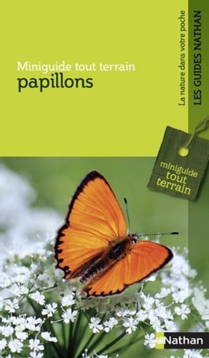 Papillons, Heiko Bellmann - Ebook - 9782092788790